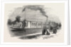 New Barge of the Oxford University Boat Club, 1855 by Anonymous