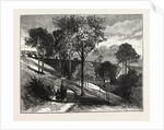 Terraces in Beaumont Park, Huddersfield, UK, 1883 by Anonymous