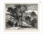 Terraces in Beaumont Park, Huddersfield, UK, 1883 by Anonymous