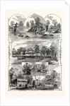The Queen's Visit to Victoria Park: Views in the Park, London, 1873. Chinese Pagoda, Cascade, Rustic Seat, Boat House and Lake, Refreshment Saloon, Swings and Roundabouts by Anonymous