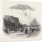 Meeting of the British Association at Southampton, Alum Bay, Isle of Wight, the Geologists Landing, 1846 by Anonymous