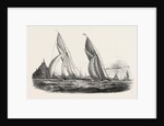 Royal Western Yacht Club, in Mount's Bay, the Grand Turk, and the Lily of Devon. Drawn by Mr. N.M. Condy. 1846 by Anonymous
