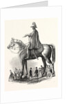 Colossal Statue of the Duke of Wellington, 1846 by Anonymous