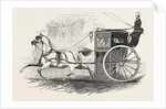 Reynolds's Improved Patent Safety Cab, 1846 by Anonymous