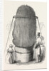 Monster Cactus, at the Royal Botanic Gardens, Kew, London, 1846 by Anonymous