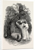 Queen Elizabeth's Oak, in Hatfield Park, 1846 by Anonymous