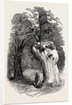 Queen Elizabeth's Oak, in Hatfield Park, 1846 by Anonymous