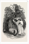Queen Elizabeth's Oak, in Hatfield Park, 1846 by Anonymous