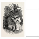 Queen Elizabeth's Oak, in Hatfield Park, 1846 by Anonymous