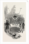 The Great Dutch Equilibrist's Bottle Feat, at Astley's, 1846 by Anonymous