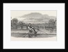 Siamese Boat on the Serpentine, 1847 by Anonymous