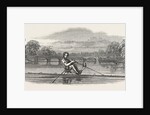 Siamese Boat on the Serpentine, 1847 by Anonymous
