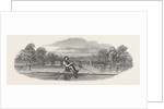 Siamese Boat on the Serpentine, 1847 by Anonymous
