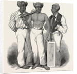 South Sea Islanders at Sydney: Panyella, Etoisi, Sabbathahoo, 1847 by Anonymous