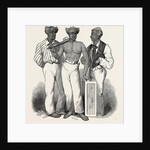 South Sea Islanders at Sydney: Panyella, Etoisi, Sabbathahoo, 1847 by Anonymous