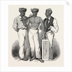 South Sea Islanders at Sydney: Panyella, Etoisi, Sabbathahoo, 1847 by Anonymous