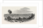 New Zealand: Wanganui, the Scene of the Late Conflict, 1847 by Anonymous