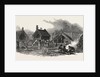 New Zealand: Putikiwaranui Pah, Wanganui, 1847 by Anonymous