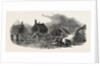 New Zealand: Putikiwaranui Pah, Wanganui, 1847 by Anonymous