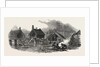 New Zealand: Putikiwaranui Pah, Wanganui, 1847 by Anonymous
