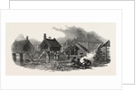 New Zealand: Putikiwaranui Pah, Wanganui, 1847 by Anonymous