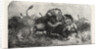 Dr Livingstone's Missionary Travels and Researchers in South Africa: Three Lions Attempting to Drag Down a Buffalo by Anonymous