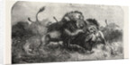 Dr Livingstone's Missionary Travels and Researchers in South Africa: Three Lions Attempting to Drag Down a Buffalo by Anonymous