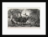 Dr Livingstone's Missionary Travels and Researchers in South Africa: The Travelling Procession Interrupted, 1857 by Anonymous