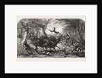 Dr Livingstone's Missionary Travels and Researchers in South Africa: The Travelling Procession Interrupted, 1857 by Anonymous