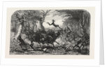 Dr Livingstone's Missionary Travels and Researchers in South Africa: The Travelling Procession Interrupted, 1857 by Anonymous