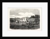 Windermere Regatta. The Race on the Third Day for Mr. Aufrere's Cup, UK, 1859 by Anonymous