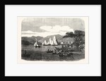 Windermere Regatta. The Race on the Third Day for Mr. Aufrere's Cup, UK, 1859 by Anonymous