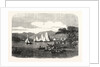 Windermere Regatta. The Race on the Third Day for Mr. Aufrere's Cup, UK, 1859 by Anonymous