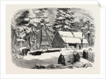 Lumbering in New Brunswick, Lumberman's Camp House, 1858 by Anonymous