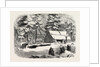 Lumbering in New Brunswick, Lumberman's Camp House, 1858 by Anonymous