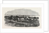 The Town of Bathurst, New Brunswick, 1860 by Anonymous