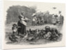 Agricultural Pictures the Poultry-Yard, 1847 by Anonymous
