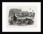 Agricultural Pictures the Poultry-Yard, 1847 by Anonymous