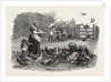 Agricultural Pictures the Poultry-Yard, 1847 by Anonymous