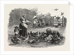Agricultural Pictures the Poultry-Yard, 1847 by Anonymous