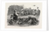 Agricultural Pictures the Poultry-Yard, 1847 by Anonymous