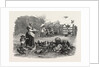 Agricultural Pictures the Poultry-Yard, 1847 by Anonymous
