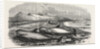 Shoal of Whales in the Solway Firth, 1855 by Anonymous