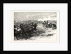 The Imperial Visit: Review of the Household Troops in Windsor Great Park, the Cavalry Charge, 1855 by Anonymous