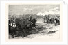The Imperial Visit: Review of the Household Troops in Windsor Great Park, the Cavalry Charge, 1855 by Anonymous