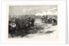 The Imperial Visit: Review of the Household Troops in Windsor Great Park, the Cavalry Charge, 1855 by Anonymous