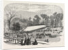 Exhibition of the Horticultural Society, at Gore House, Kensington, London, 1855 by Anonymous