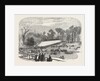 Exhibition of the Horticultural Society, at Gore House, Kensington, London, 1855 by Anonymous