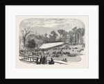 Exhibition of the Horticultural Society, at Gore House, Kensington, London, 1855 by Anonymous