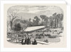 Exhibition of the Horticultural Society, at Gore House, Kensington, London, 1855 by Anonymous